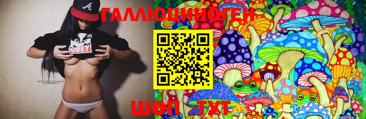 Галлюциногенные грибы Magic Shrooms  Вход с VPN  Красноармейск  Галлюциногенные грибы MAGIC MUSHROOMS 